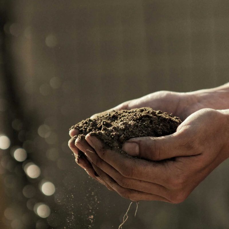 soil-2-gabriel-jimenez-jin4W1HqgL4-unsplash soil-2-gabriel-jimenez-jin4W1HqgL4-unsplash